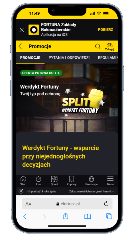 Graj bez ryzyka na sporty walki w Fortunie!